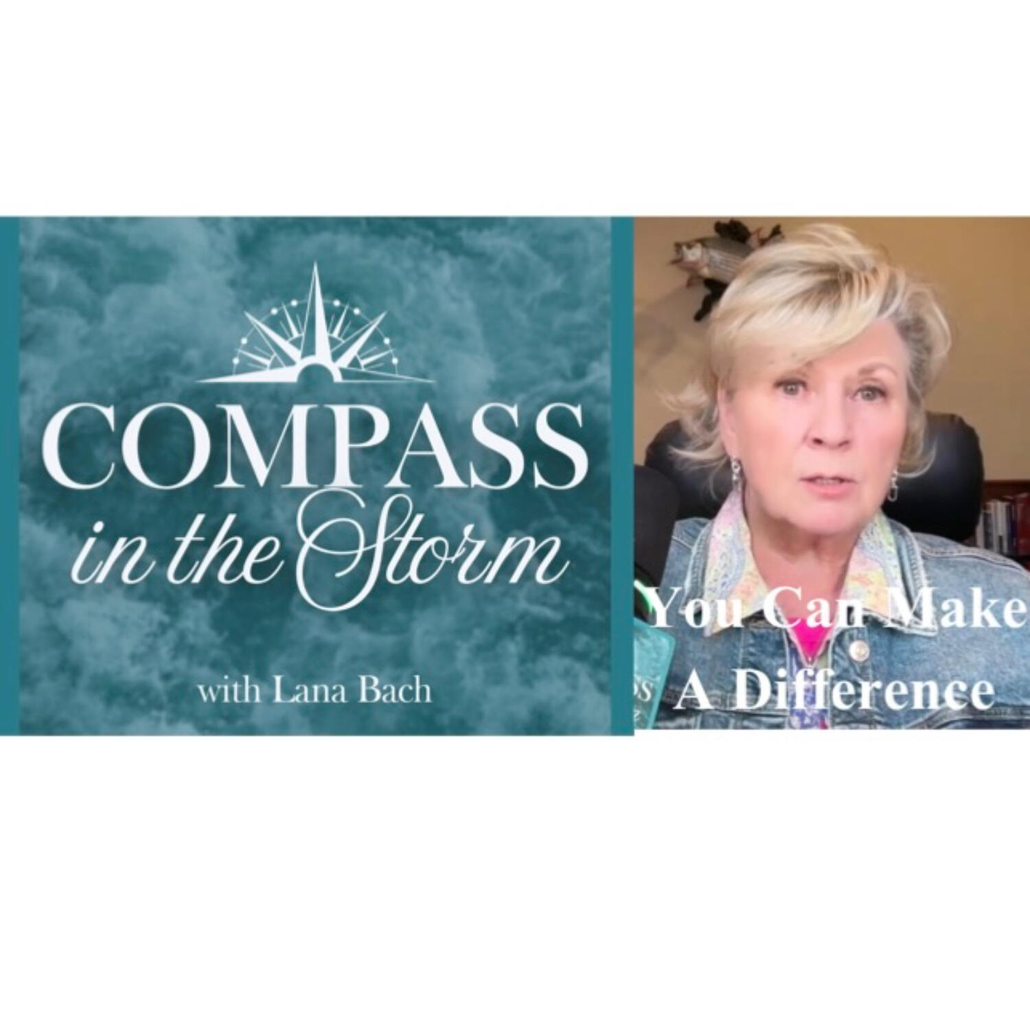 Compass in the Storm Podcast with host Lana Bach