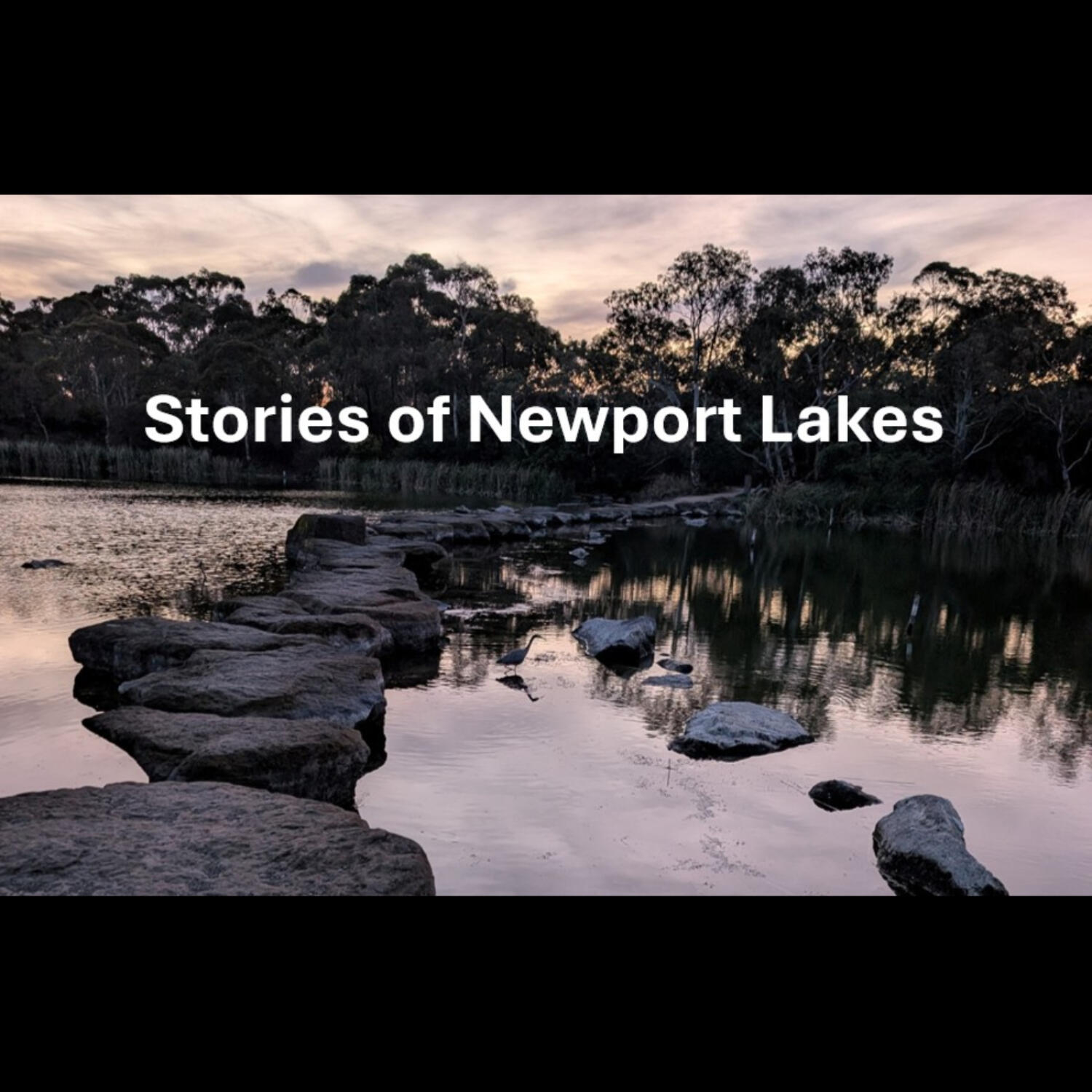 Westsider Radio: Stories Of Newport Lakes