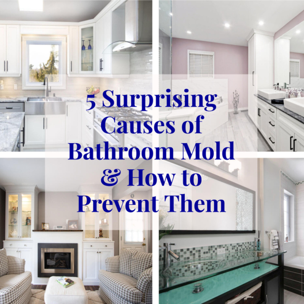 5 Surprising Causes of Bathroom Mold & How to Prevent Them artwork