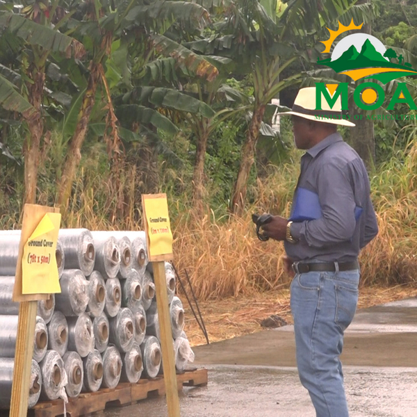 AGRICULTURAL INPUTS SALE TTM/MOA artwork