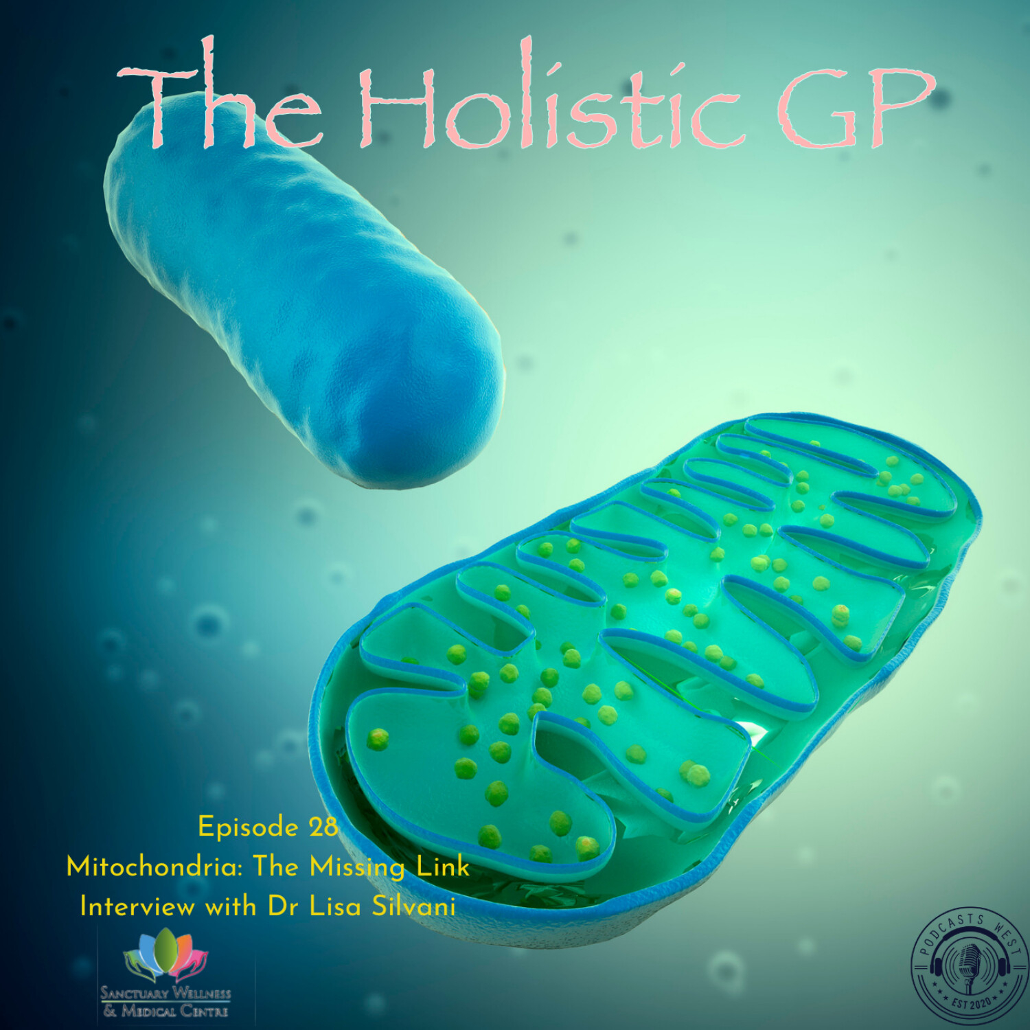 Mitochrondria: The Missing Link. Interview with Dr Lisa Silvani episode artwork