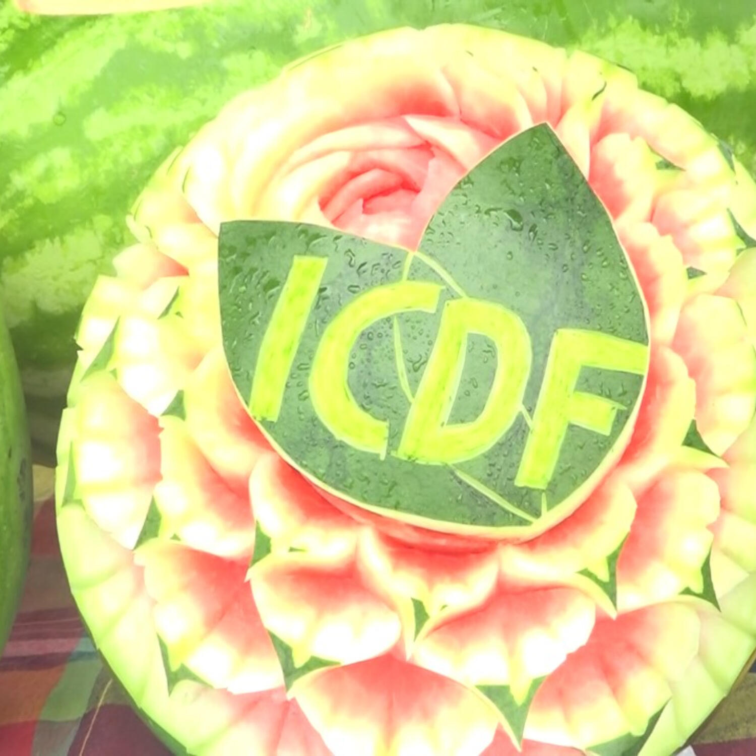 TTM and Ministry of Agriculture Introduce Seedless Watermelons Under Seven Crops Project