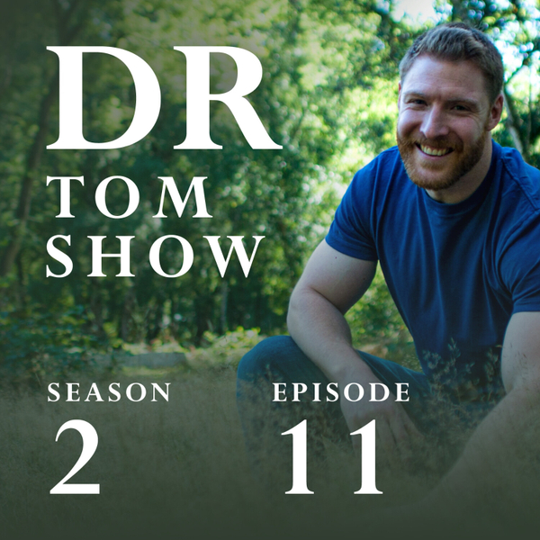 S2 E11 – A Multidisciplinary approach to Freedom and Excellence with Dr. Stefaan Vossen artwork
