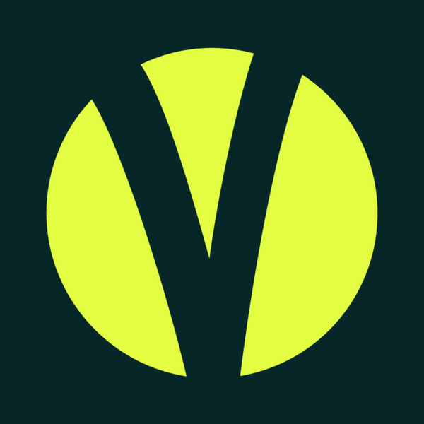 Inside Venwise: Member Interviews artwork