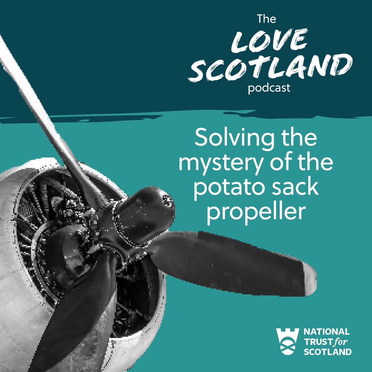 Solving the mystery of the potato sack propeller