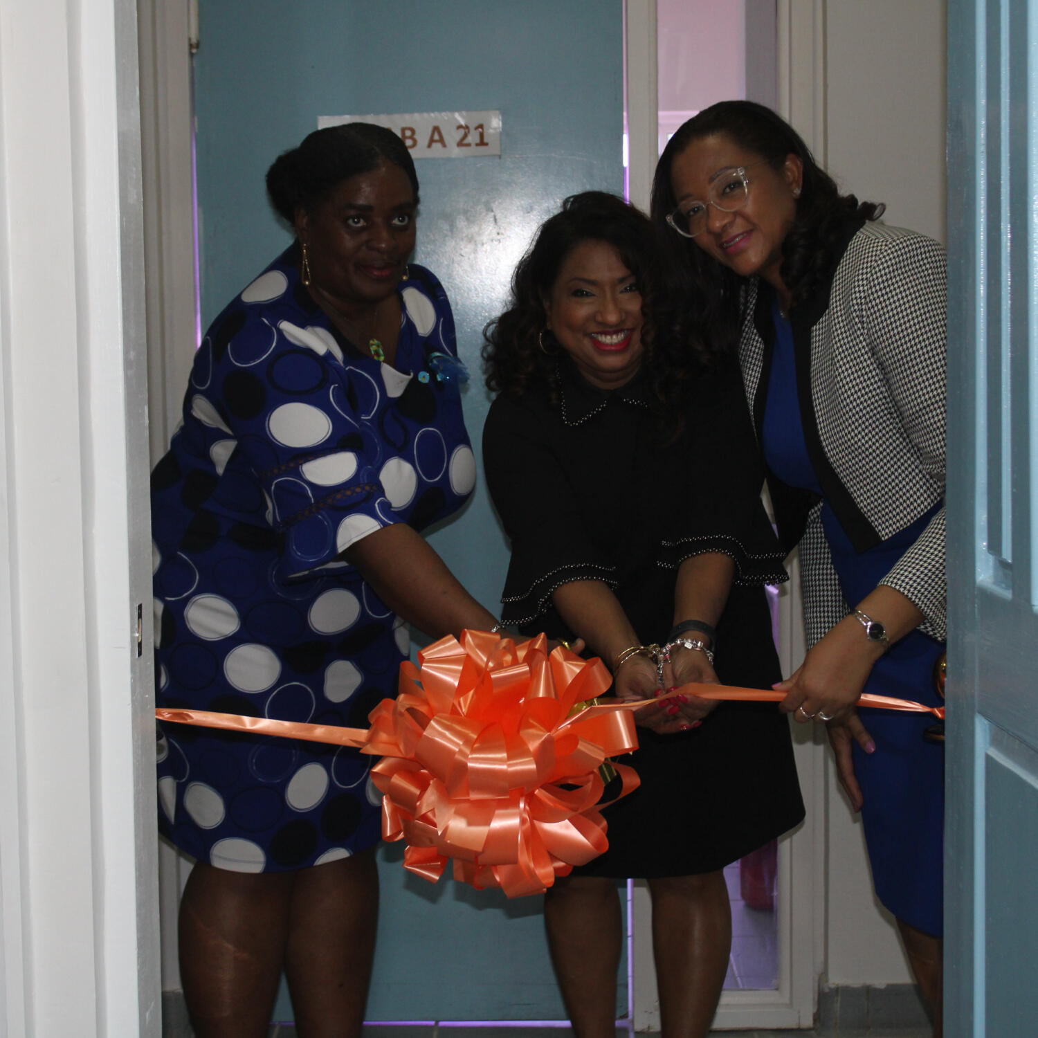 CARPHA opens Antimicrobial Resistance (AMR) Reference Referral Laboratory in Saint Lucia to Expand its Testing Capacity episode artwork