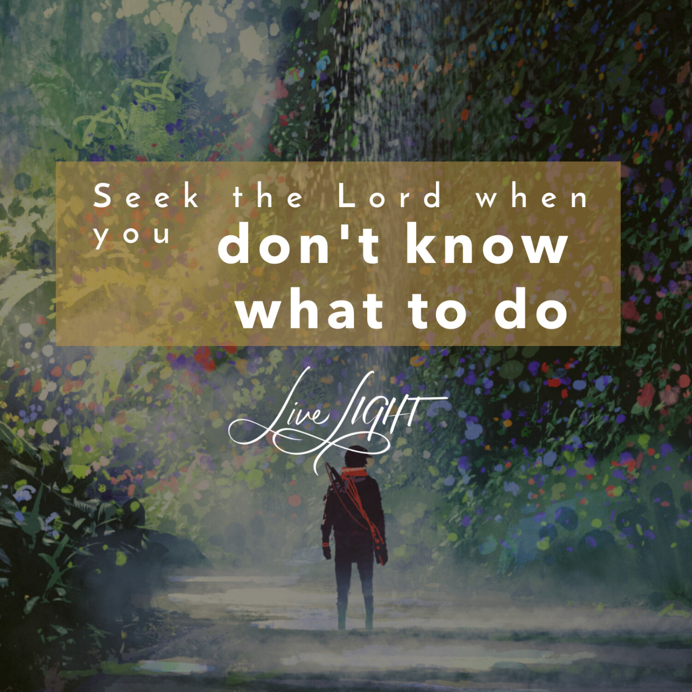 Seek the Lord when You Don't Know What to Do