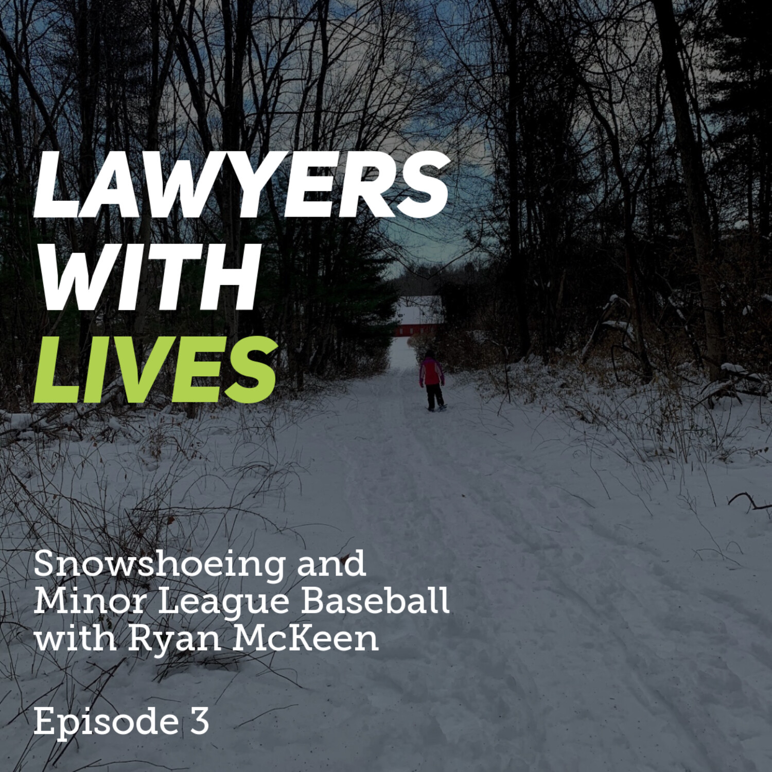 Lawyers With Lives