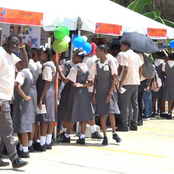 Health Ministry Hosts Caribbean Wellness Day Fair at Micoud Wellness Centre artwork