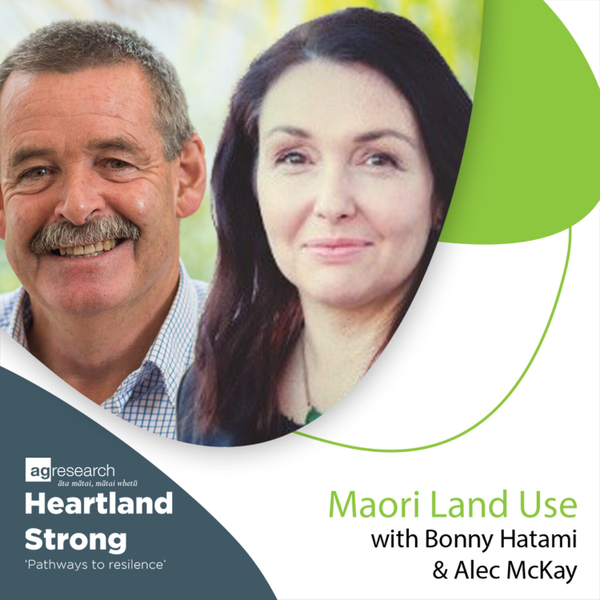 EP #4 - Maori Land Use artwork