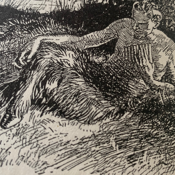 The Wind in the Willows, Chapter 7 artwork