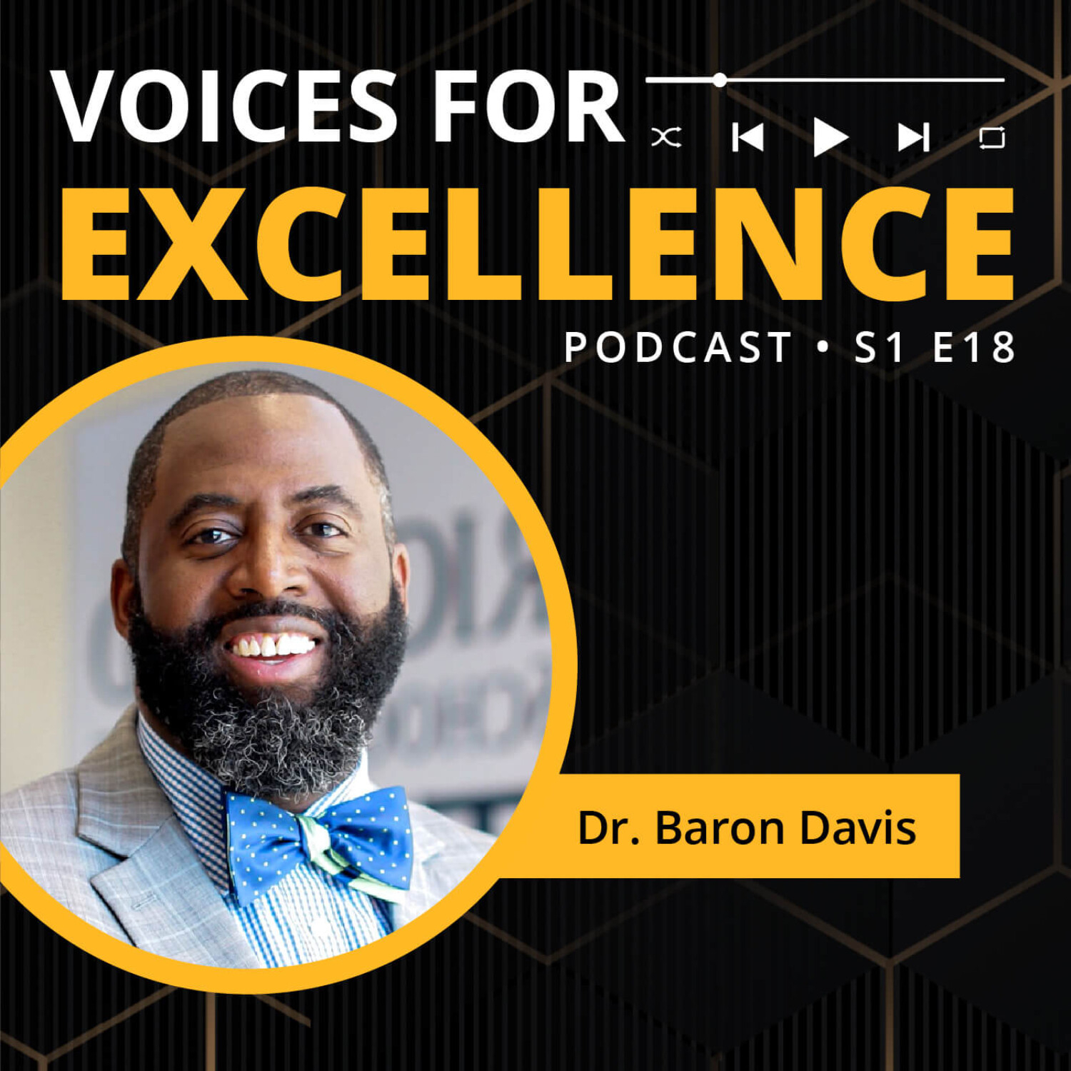 Voices for Excellence