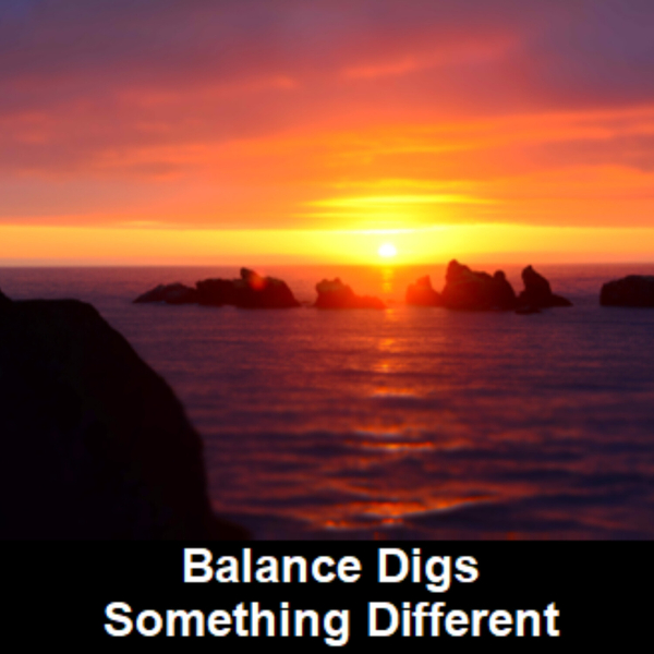 Balance Digs Something Different artwork