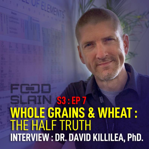 Whole Grains & Wheat - The Half Truth w/Dr. David Killilea artwork